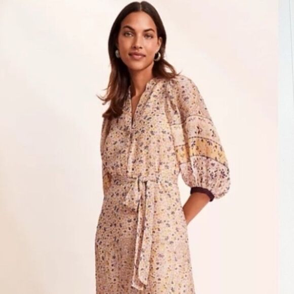 Ann Taylor XL Beige Plum Gold Lurex Paisley Floral Border Balloon Sleeve Dress - Picture 3 of 16